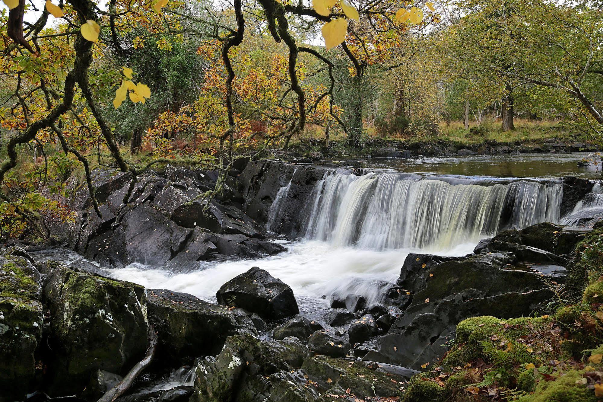 Innisfallen Hotel Killarney Exteriér fotografie
